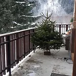 Native * Chamonix
