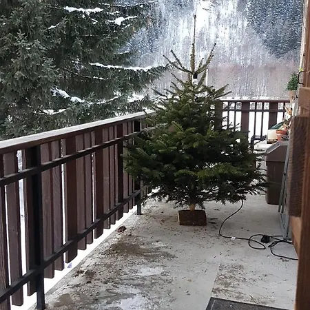 Native * Chamonix